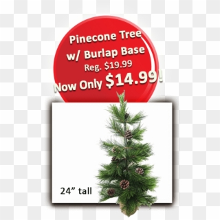 3 Pinecone Tree W Burlap Base, HD Png Download