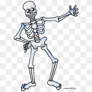 Cartoon Body - Skeleton Clipart, HD Png Download