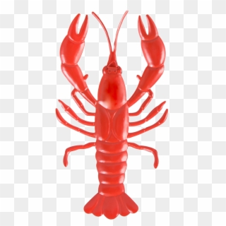 American Lobster, HD Png Download