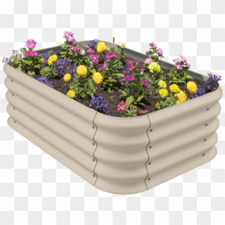 Garden Bed Hero Shot With Flowers - Chrysanths, HD Png Download