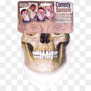 Skull , Png Download, Transparent Png