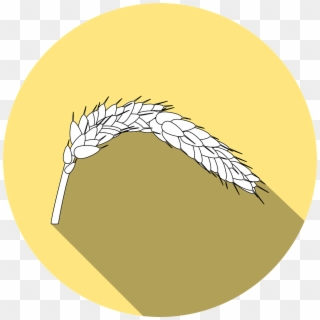Wheat, Icon, HD Png Download