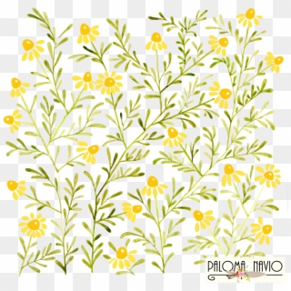 Wheat Clipart Watercolor, HD Png Download