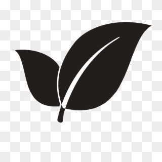 Transparent Png