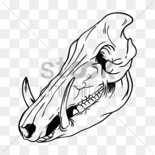 Collection Of Pig Drawing High Quality - Boar Skull Drawing, HD Png Download