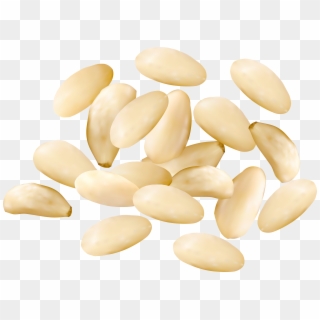 Free Png Download Pine Nuts Clipart Png Photo Png Images - Pine Nuts Clipart, Transparent Png
