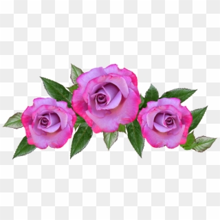 Rose, Flower, Floral, Petal, Anniversary - Dia De San Valentin Saludos Cristiano, HD Png Download