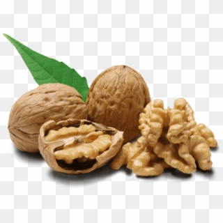 Nuts Clipart Walnut - Estrogen Foods High In Phytoestrogens, HD Png Download