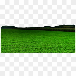 Grass Field Png  Field Transparent Background PNG Image  Transparent PNG  Free Download on SeekPNG