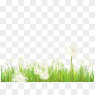 Transparent Grass With Dandelions Png Clipart - Grass Transparent Png Footer, Png Download