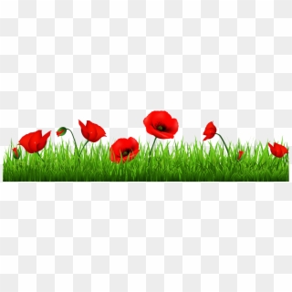 Poppy Field Clipart, HD Png Download