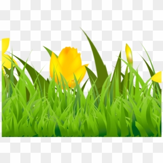Lawn Clipart Grass Field - Tulip, HD Png Download