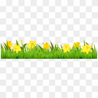 Daffodil Clip Art Border, HD Png Download