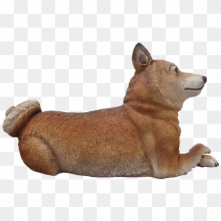 Shiba Inu Lying Life Size Resin Dog Statue - Companion Dog, HD Png Download