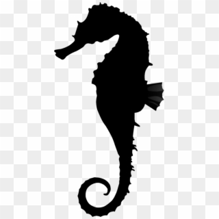 Northern Seahorse, HD Png Download