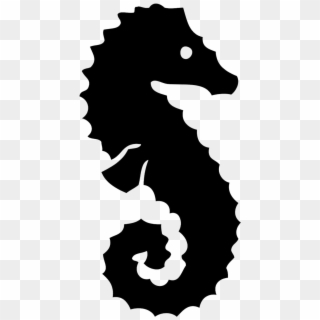 Seahorse Picture - Stencil, HD Png Download