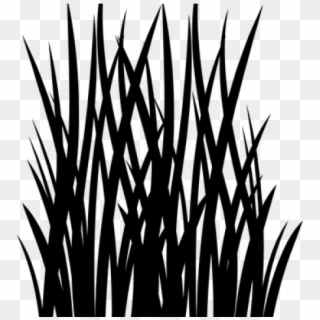 Silhouette Clipart Grass - Transparent Grass Illustration, HD Png Download