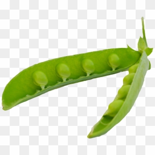 Green Peas Pods - Peas In A Pod Png, Transparent Png