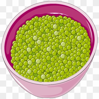 Green Peas Clip Art, HD Png Download