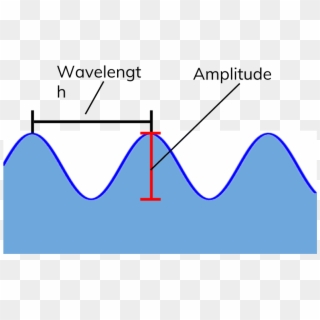 Transverse And Longitudinal Waves - Diagram Of Water Wave Passing A Seagull, HD Png Download