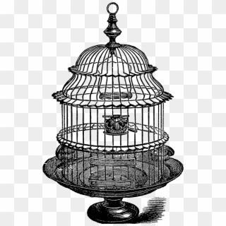 Birdcage Clipart Grey - Bird Cage Vintage Drawing, HD Png Download