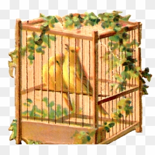 Birdcage Clipart Animal Shelter - Cage, HD Png Download