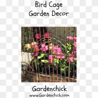 Rusty Bird Cage Garden Decor, HD Png Download