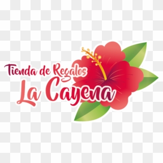 Photo Taken At Tienda De Regalos La Cayena By Yext - Hawaiian Hibiscus, HD Png Download