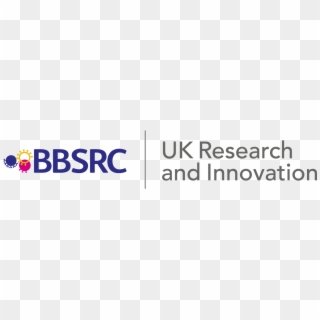 Bbsrc-ukri Full Colour 'no Strapline' Logo - Bbsrc, HD Png Download ...