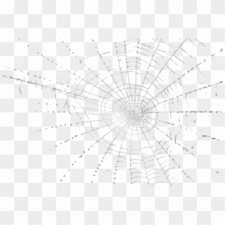 Spider Web - Spider Web Psd, HD Png Download