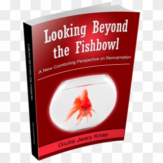 An Extract From Looking Beyond The Fishbowl - Book Cover, HD Png Download