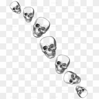 Transparent Png