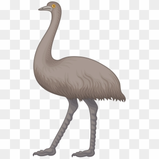 Emu Clipart Cartoon, HD Png Download