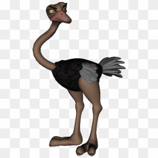 Cartoon Ostrich 4 Height=, HD Png Download