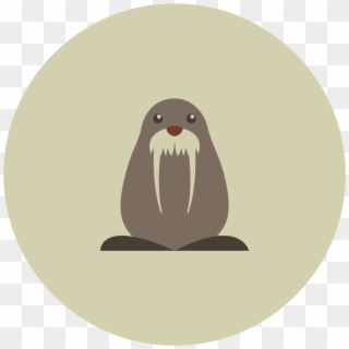 Icon Free Download Png And This Is - Walrus, Transparent Png
