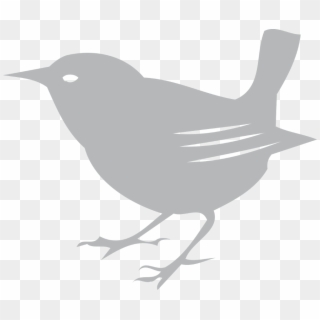 Free Bird Images - Scott Free Productions Bird, HD Png Download