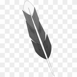 This Free Icons Png Design Of Grayscale Feather - Grayscale Feather, Transparent Png