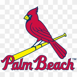 Palm Beach Cardinals Logo - St Louis Cardinals Logo Bird On Bat, HD Png Download