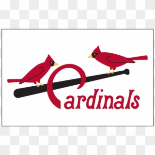 Louis Cardinals Iron On Stickers And Peel-off Decals - Perching Bird, HD Png Download