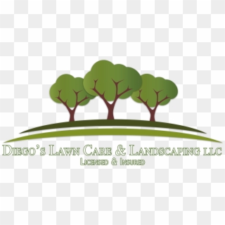Diego's Lawn Care & Landscaping - 3 Tree Logo, HD Png Download