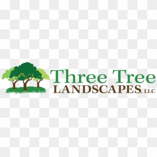 Three Tree Logo Png, Transparent Png