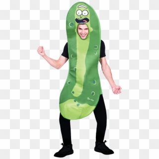 Pickle Rick Costume Easy, HD Png Download