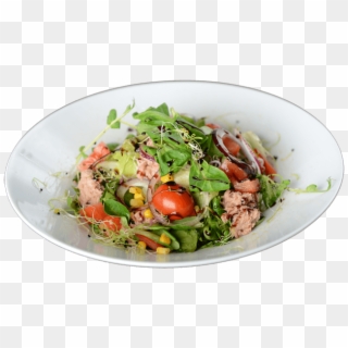 Édeskert Étterem És Fagyizó Tonhal Saláta - Garden Salad, HD Png Download