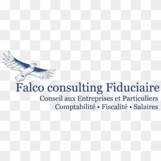 Falco Consulting S - Bankers South, HD Png Download