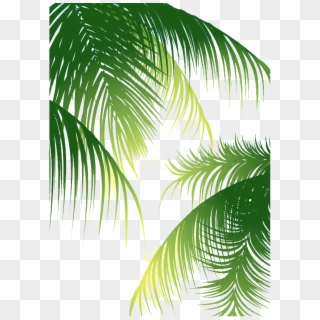 Coconut Arecaceae Euclidean Vector Background, HD Png Download