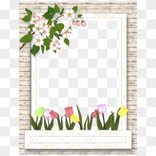 Borders For Paper, Borders And Frames, Papo, Apple - Tulip Frame Png, Transparent Png