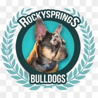 Rocky Springs Bulldogs - Cecil Andrews College, HD Png Download