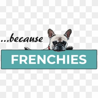 Becausefrenchies - Com Becausefrenchies - Com - Sports Authority Coupon December 2011, HD Png Download