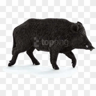Free Png Wild Boar Png Images Transparent - Wild Boar Png, Png Download