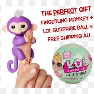 Finger Monkeys Toy, HD Png Download